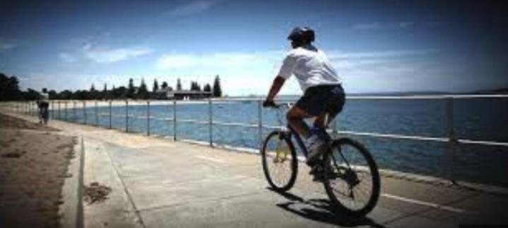 Sunny 2 Bed Restaurants Beach At Door Pets O.K Sydney Exterior foto