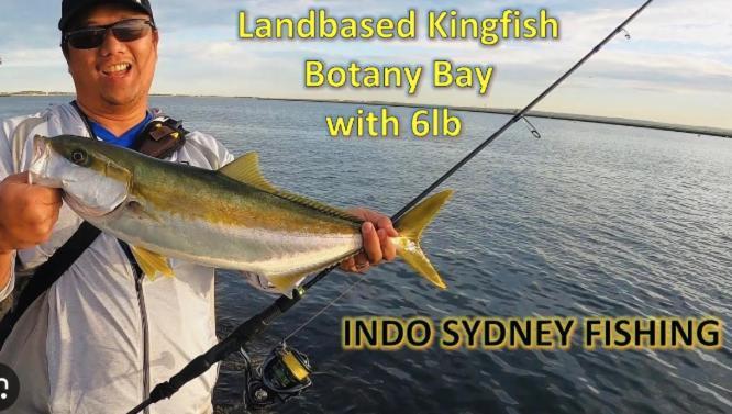 Sunny 2 Bed Restaurants Beach At Door Pets O.K Sydney Exterior foto